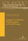 Image for Linguistic landscapes, multilingualism and social change : Band 16