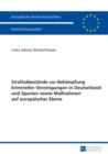 Image for Straftatbestaende zur Bekaempfung krimineller Vereinigungen in Deutschland und Spanien sowie Massnahmen auf europaeischer Ebene : 5480