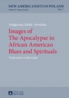 Image for Images of the apocalypse in African American blues and spirituals: destruction in this land