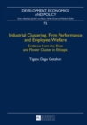 Image for Industrial clustering, firm performance and employee welfare: evidence from the shoe and flower cluster in Ethiopia