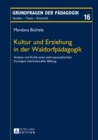 Image for Kultur und Erziehung in der Waldorfpadagogik: Analyse und Kritik eines anthroposophischen Konzepts interkultureller Bildung : Band 16