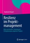 Image for Resilienz im Projektmanagement
