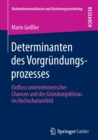 Image for Determinanten des Vorgrundungsprozesses