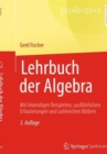 Image for Lehrbuch der Algebra : Mit lebendigen Beispielen, ausfuhrlichen Erlauterungen und zahlreichen Bildern