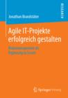 Image for Agile IT-Projekte erfolgreich gestalten: Risikomanagement als Erganzung zu Scrum