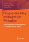 Image for Padagogischer Alltag Und Biografische Werdegange: Erziehungsstellen Und Padagogische Hausgemeinschaften Im Blick