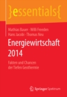 Image for Energiewirtschaft 2014: Fakten und Chancen der Tiefen Geothermie