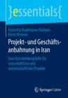 Image for Projekt- Und Geschaftsanbahnung in Iran : Eine Entscheidungshilfe Fur Wirtschaftliche Und Wissenschaftliche Projekte