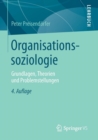 Image for Organisationssoziologie : Grundlagen, Theorien und Problemstellungen
