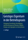 Image for Geistiges Eigentum in Der Betriebspraxis: Erlangung, Verwaltung, Verteidigung Und Verwertung Von Patenten, Marken, Designs Und Copyrights Im Unternehmen