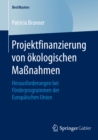 Image for Projektfinanzierung von okologischen Manahmen: Herausforderungen bei Forderprogrammen der Europaischen Union