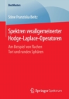 Image for Spektren verallgemeinerter Hodge-Laplace-Operatoren