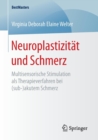 Image for Neuroplastizitat und Schmerz