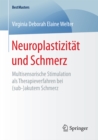 Image for Neuroplastizitat und Schmerz: Multisensorische Stimulation als Therapieverfahren bei (sub-)akutem Schmerz