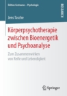 Image for Korperpsychotherapie zwischen Bioenergetik und Psychoanalyse