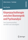 Image for Korperpsychotherapie zwischen Bioenergetik und Psychoanalyse: Zum Zusammenwirken von Reife und Lebendigkeit