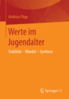 Image for Werte im Jugendalter: Stabilitat - Wandel - Synthese