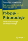 Image for Padagogik - Phanomenologie : Verhaltnisbestimmungen und Herausforderungen