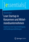 Image for Lean Startup in Konzernen und Mittelstandsunternehmen: Ergebnisse einer Expertenbefragung und Handlungsempfehlungen