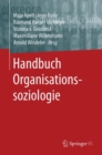 Image for Handbuch Organisationssoziologie