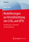 Image for Modellierungen zur Kristallzuchtung von CrSb2 und UPTe: Ein Beitrag zur rationalen Syntheseplanung