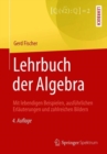 Image for Lehrbuch Der Algebra: Mit Lebendigen Beispielen, Ausfuhrlichen Erlauterungen Und Zahlreichen Bildern