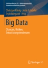 Image for Big Data: Chancen, Risiken, Entwicklungstendenzen