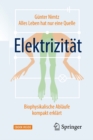 Image for Alles Leben Hat Nur Eine Quelle: Elektrizitat: Biophysikalische Ablaufe Kompakt Erklart