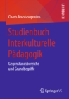Image for Studienbuch Interkulturelle Padagogik: Gegenstandsbereiche Und Grundbegriffe