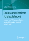 Image for Sozialraumorientierte Schulsozialarbeit: Prozess- und Wirkungsevaluation des Modellprojekts &amp;#x201A;Stadtteil in der Schule&#39;