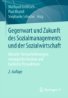 Image for Gegenwart und Zukunft des Sozialmanagements und der Sozialwirtschaft: Aktuelle Herausforderungen, strategische Ansatze und fachliche Perspektiven