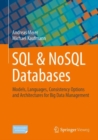 Image for SQL &amp; NoSQL Databases : Models, Languages, Consistency Options and Architectures for Big Data Management