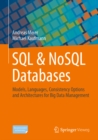 Image for SQL &amp; NoSQL Databases: Models, Languages, Consistency Options and Architectures for Big Data Management