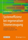 Image for Systemeffizienz bei regenerativer Stromerzeugung