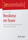 Image for Resilienz im Team : Ideen und Anwendungskonzepte fur Teamentwicklung