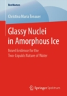 Image for Glassy Nuclei in Amorphous Ice: Novel Evidence for the Two-Liquids Nature of Water