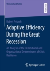 Image for Adaptive Efficiency During the Great Recession
