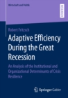 Image for Adaptive Efficiency During the Great Recession: An Analysis of the Institutional and Organizational Determinants of Crisis Resilience