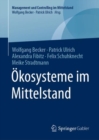 Image for Okosysteme im Mittelstand