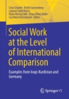 Image for Social Work at the Level of International Comparison