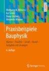 Image for Praxisbeispiele Bauphysik: Warme - Feuchte - Schall - Brand - Aufgaben Mit Losungen