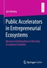 Image for Public Accelerators in Entrepreneurial Ecosystems