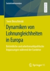 Image for Dynamiken Von Lohnungleichheiten in Europa: Betriebliche Und Arbeitsmarktpolitische Anpassungen Wahrend Der Eurokrise