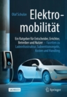 Image for Elektromobilität - Ein Ratgeber Für Entscheider, Errichter, Betreiber Und Nutzer: Facetten Zu Ladeinfrastruktur, Subventionsregeln, Kosten Und Handling