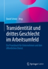 Image for Transidentitat Und Drittes Geschlecht Im Arbeitsumfeld: Ein Praxisbuch Fur Unternehmen Und Den Offentlichen Dienst