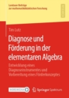 Image for Diagnose Und Forderung in Der Elementaren Algebra: Entwicklung Eines Diagnoseinstrumentes Und Vorbereitung Eines Forderkonzeptes