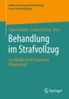Image for Behandlung Im Strafvollzug: Ein Handbuch Fur Praxis Und Wissenschaft