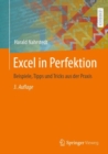 Image for Excel in Perfektion