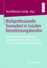 Image for Multiprofessionelle Teamarbeit in Sozialen Dienstleistungsberufen: Interdisziplinare Debatten zum Konzept der Multiprofessionalitat - Chancen, Risiken, Herausforderungen