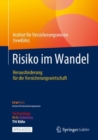 Image for Risiko im Wandel